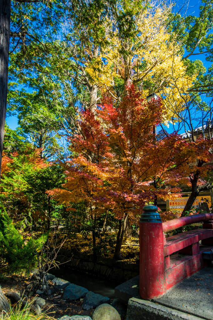 鎌倉 鶴岡八幡宮 其の4