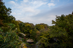生田緑地の紅葉　その７