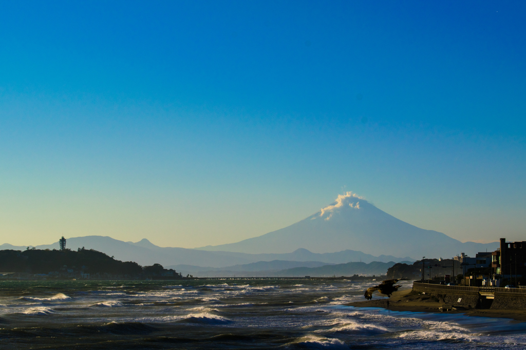 江ノ島と富士山と波そこにトビ