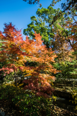 鎌倉 鶴岡八幡宮 其の３