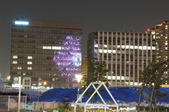 お台場　観覧車