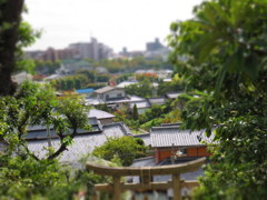 都会にあるちょっとした自然