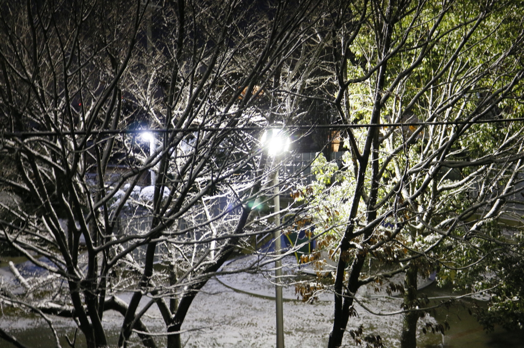 この前の雪景色