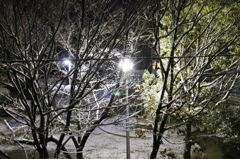 この前の雪景色