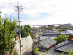神社からの景色