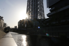スカイツリーの夕日