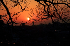 夕日を・・・