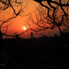 夕日を・・・