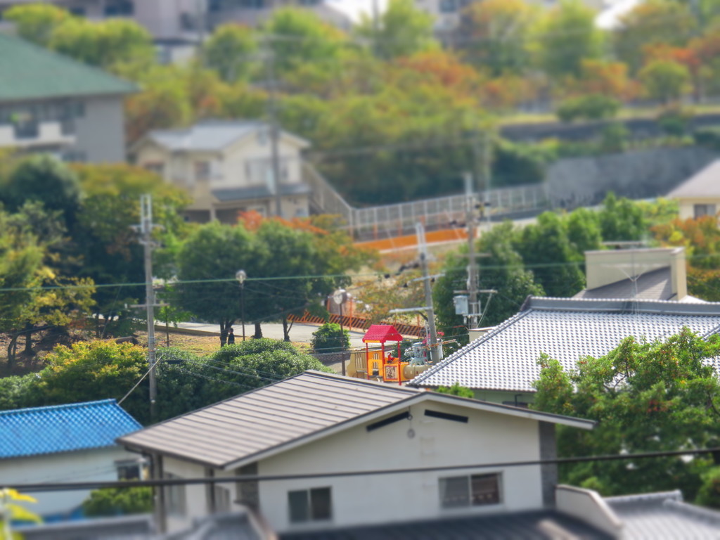 緑の中にポップな色どり