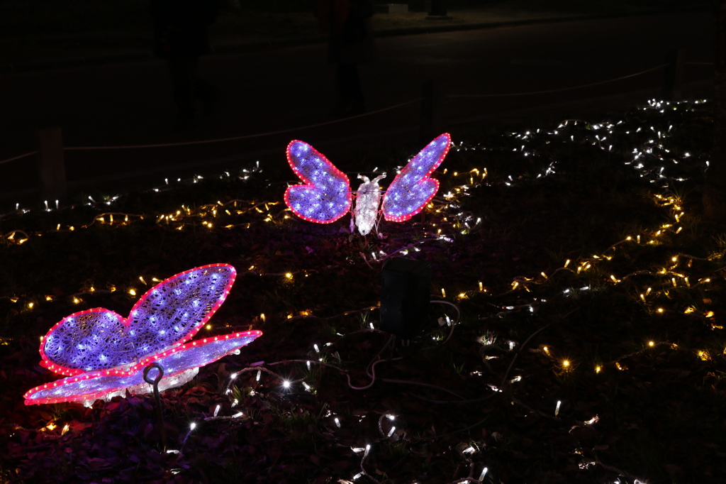 キラキラちょうちょ