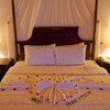 HAPPY HONEYMOON