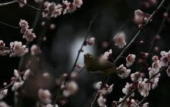 わかるかな〜