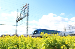 菜の花(^^)＃3