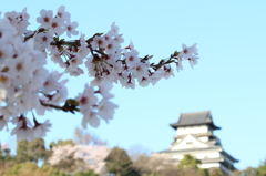 犬山の朝～春～