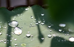 〜太陽と水の宝石〜
