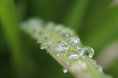 雨上がり〜