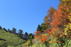 ～高原の秋彩～
