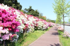 Beautiful ロード〜♪