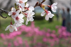 ～今年もありがとう～