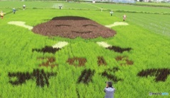 初〜田んぼART♪