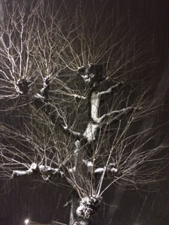 初雪(^^)