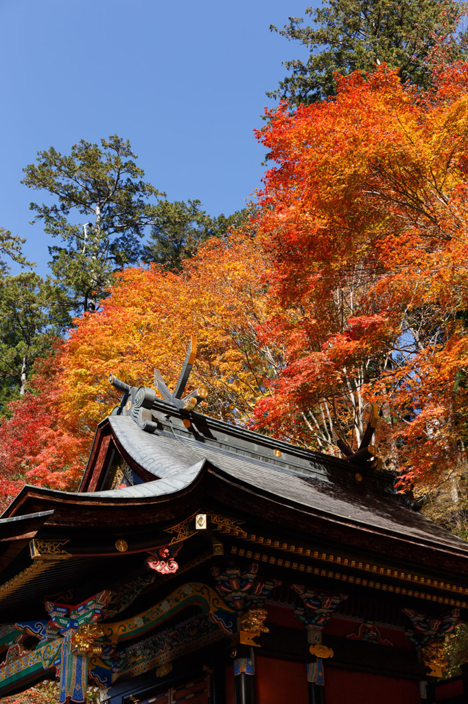 三峰神社の紅葉
