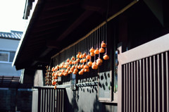 冬仕度