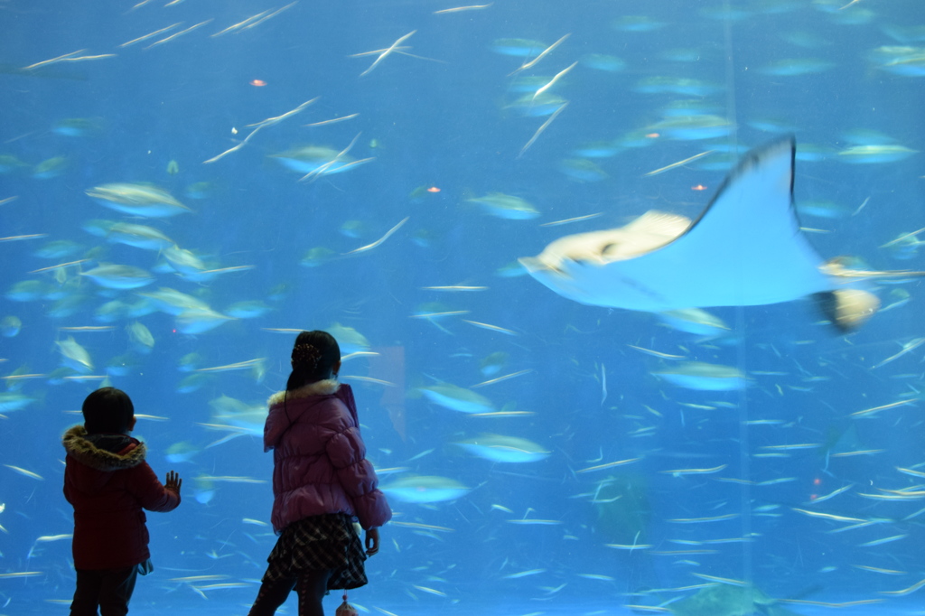 鹿児島水族館