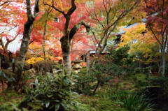 圓光寺　③