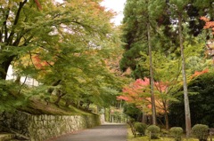 曼殊院