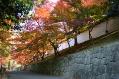 曼殊院