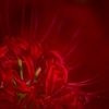 深紅