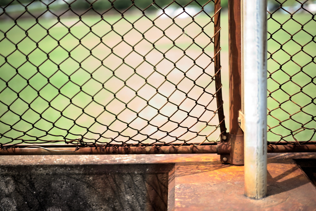 back-net