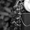 20200605 as close as possible/monochrome