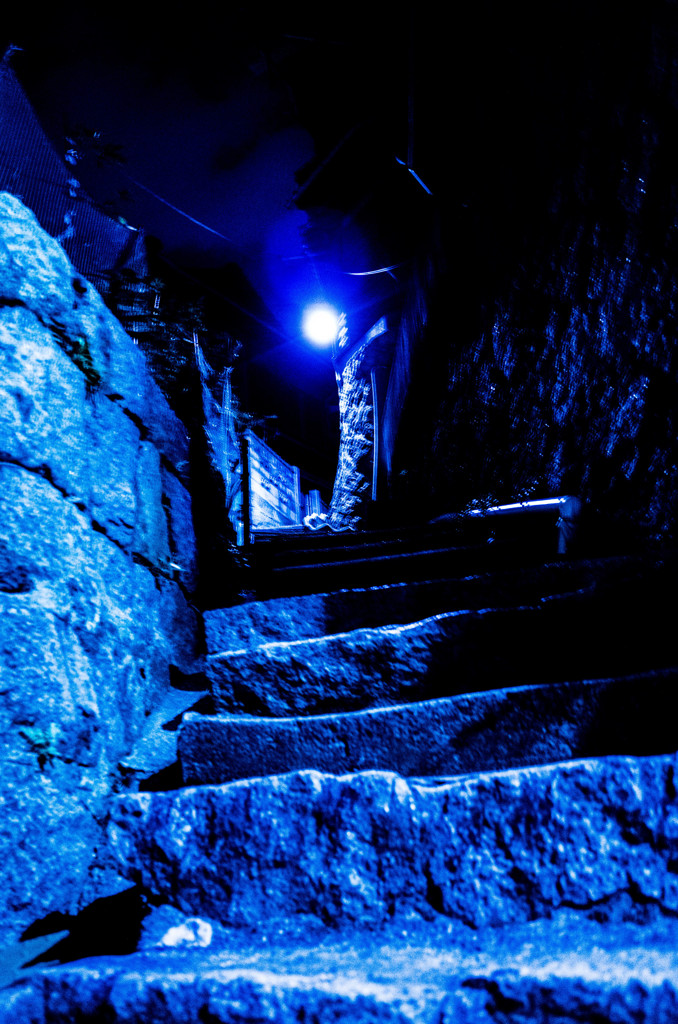 ONOMICHI 夜の千光寺路