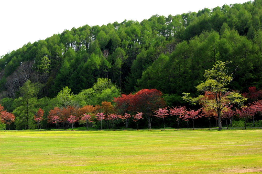別保公園