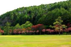 別保公園