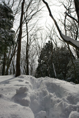 雪深すぎ