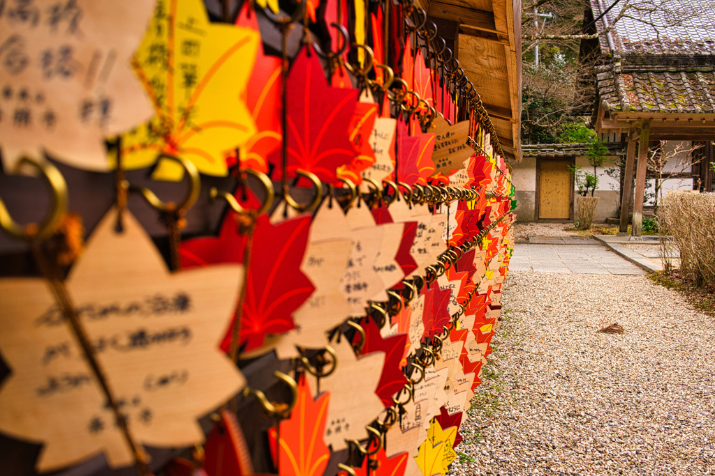 紅葉で有名なお寺