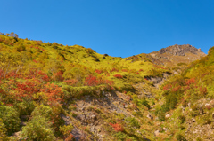 紅葉進む山肌