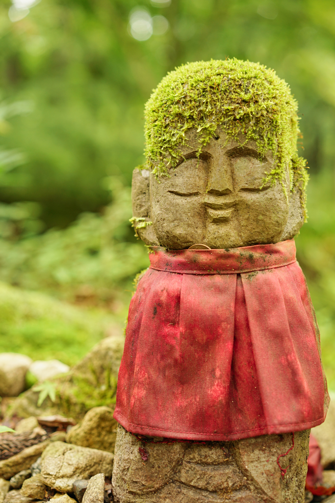 苔帽子