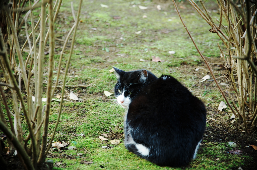 お前は伝説の・・・