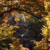 Hibiya  autumn