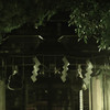 夜  / 神域