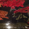 Hibiya  autumn 2