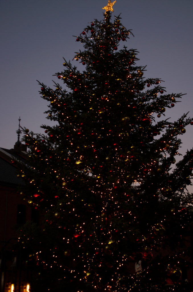 イルミネーション開始。