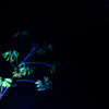 Undead flower