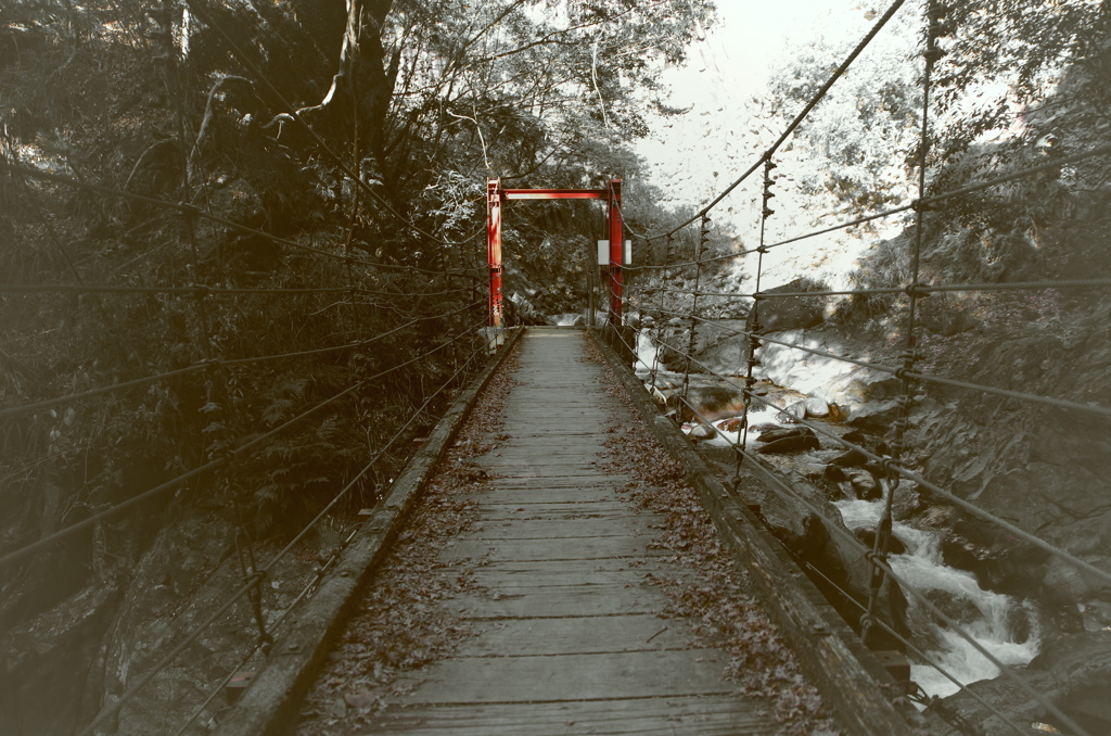 吊り橋の恋