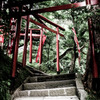 八幡宮より高い場所