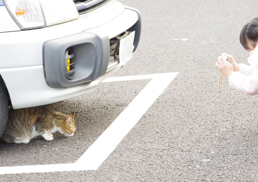 撮ってもいいですか？